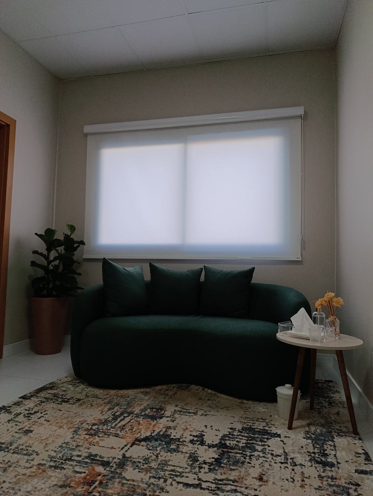 Sala de atendimento com sofá verde, tapete e luz natural